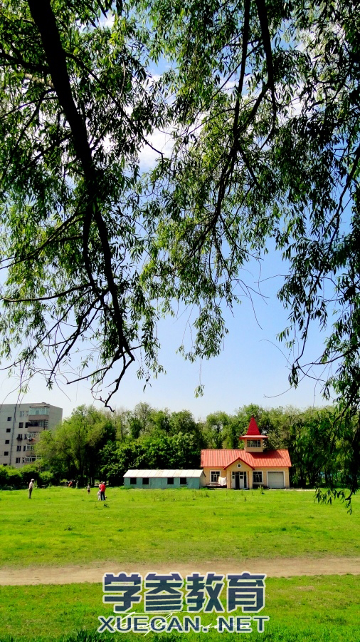 东北林业大学校园唯美风景(二)